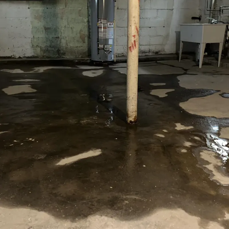 Emergency Water Extraction And Removal in Center Line, MI